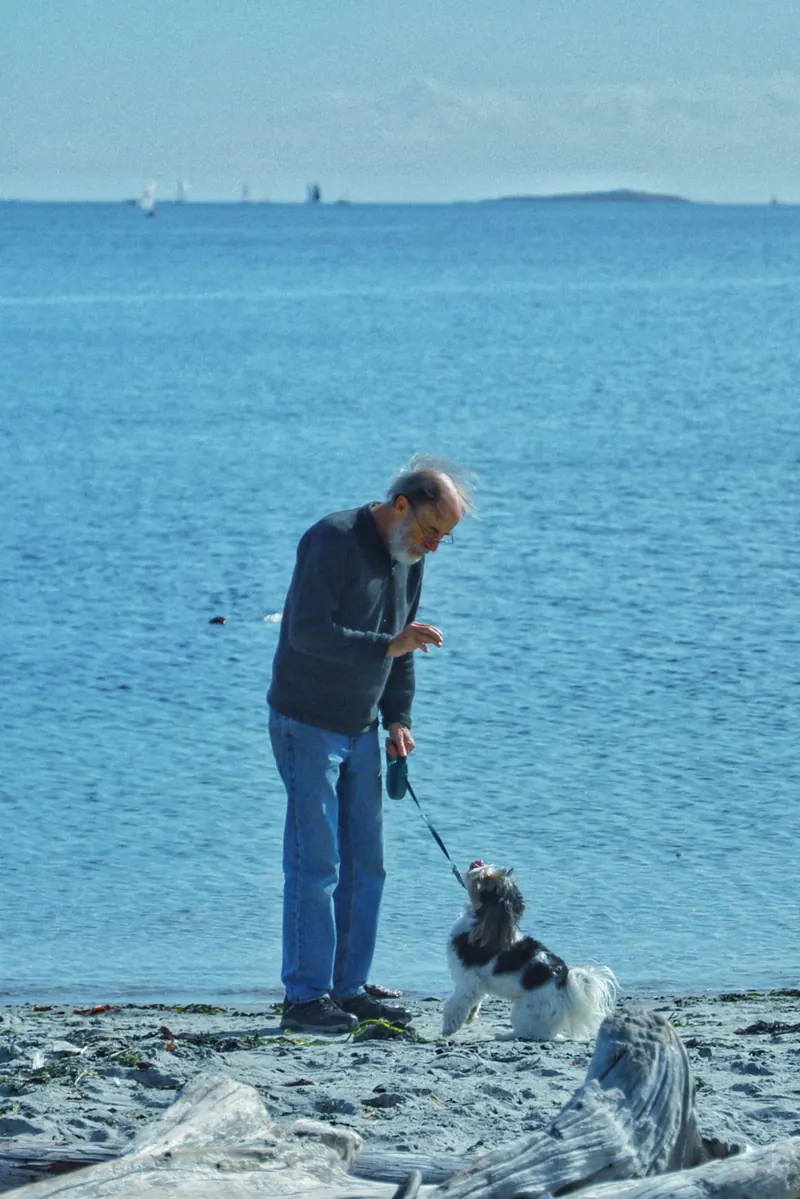 Man and dog on beach