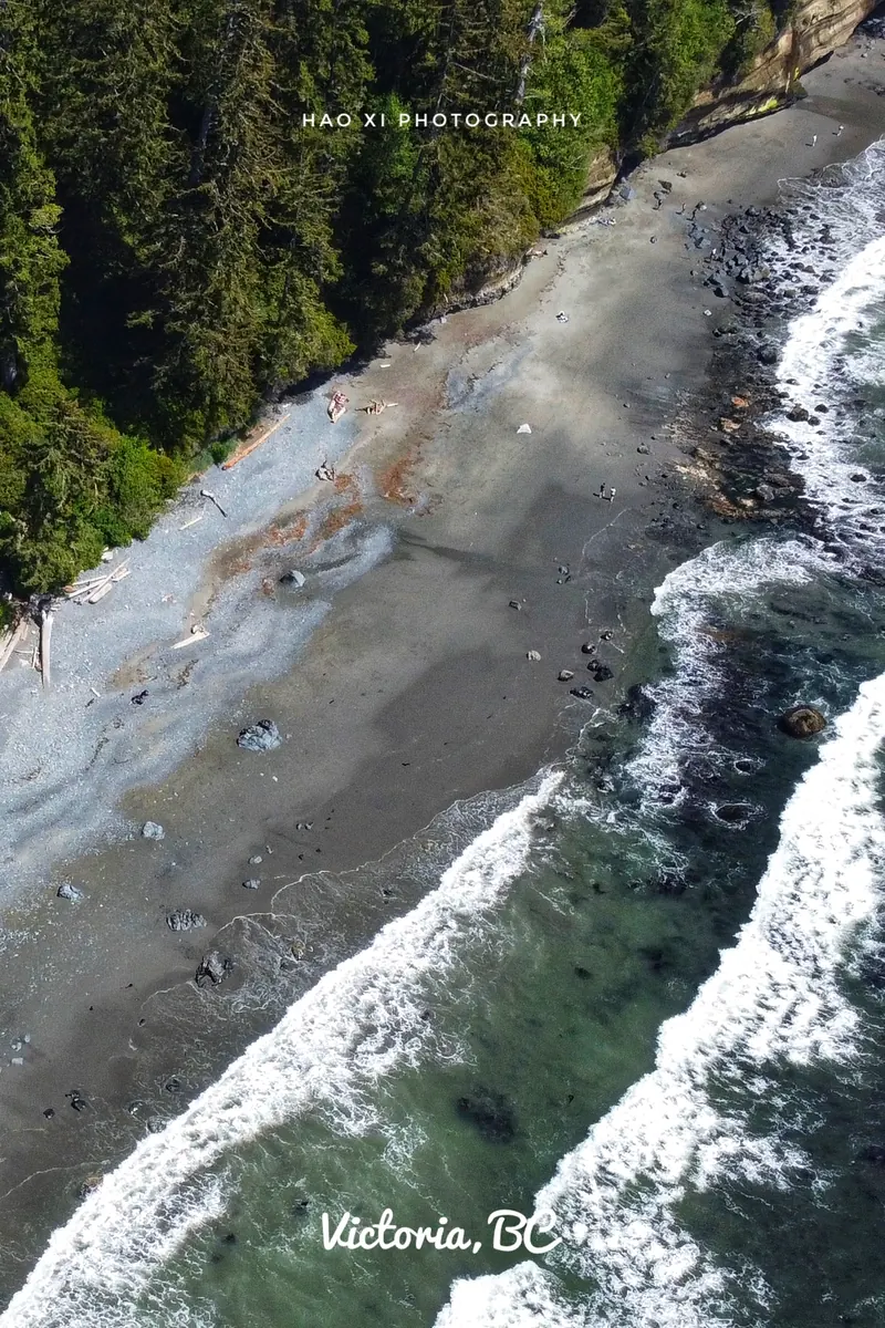 Victoria BC coastline from above